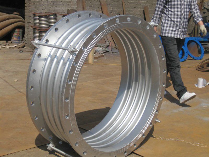 湖北波紋手机在线看片